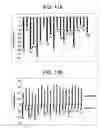 Fig. 12 - METHODS OF IDENTIFYING MODULATORS OF HYPERPOLARIZATION-ACTIVATED CYCLIC NUCLEOTIDE-GATED (HCN) CHANNELS