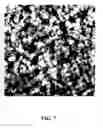 Fig. 06 - Composite material comprising supported porous gel containing functional groups and method of separating substances