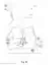 Fig. 02 - SYSTEM AND METHOD FOR PROVIDING ELECTRONIC ADVERTISEMENTS