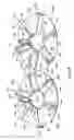 Fig. 10 - Molded spreader disk