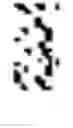 Fig. 02 - Peptides for binding calcium carbonates and methods of use