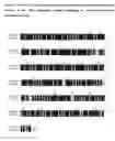 Fig. 02 - Recombinant Method for Production of an Erythropoiesis Stimulating Protein