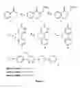 Fig. 02 - Pyridazine compounds and methods