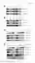 Fig. 04 - mTOR GLS and ELS, their small molecule mimetics and competitive inhibitors