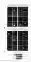 Fig. 06 - mTOR GLS and ELS, their small molecule mimetics and competitive inhibitors
