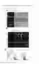 Fig. 09 - mTOR GLS and ELS, their small molecule mimetics and competitive inhibitors
