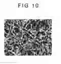 Fig. 09 - Fiber, fiber assembly, and fiber producing method