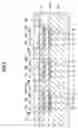 Fig. 06 - Semiconductor pressure sensor and fabrication method thereof