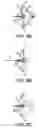 Fig. 06 - Device for propelling a projectile