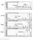 Fig. 02 - DEPOLYMERIZATION METHOD