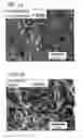 Fig. 02 - R-Fe-B microcrystalline high-density magnet and process for production thereof
