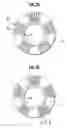 Fig. 16 - Pneumatic tire with heat dissipating side portion