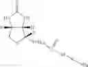 Fig. 12 - Functionalization of poly(arylene-vinylene) polymers for electronic devices