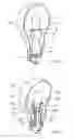 Fig. 02 - Electric lamp with an outer bulb and an integral lamp arranged in the outer bulb