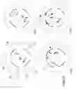Fig. 07 - Epicyclotron