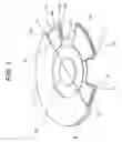 Fig. 02 - Angle detector including distinct magnetic stator portions