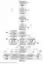 Fig. 07 - DATABASE DRIVEN RELATIONAL OBJECT MODELING AND DESIGN SYSTEM, METHOD AND SOFTWARE