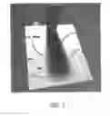 Fig. 02 - Rendering of shadows with hand-painted appearance