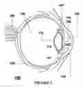 Fig. 02 - Ophthalmic dynamic aperture