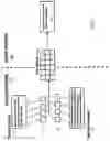 Fig. 02 - Automated detection of TCP anomalies