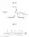 Fig. 45 - Digital broadcasting system and data processing method