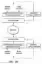 Fig. 08 - CONSTRAINTED SWITCHED ADAPTIVE BEAMFORMING