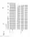 Fig. 10 - Technique for creating print data