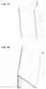 Fig. 04 - Sheet processing apparatus and image forming apparatus