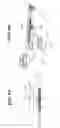 Fig. 09 - Image forming apparatus