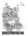 Fig. 01 - PREPARATION METHOD OF TC-99M-LABELED IRON OXIDE NANOPARTICLE AND DIAGNOSTIC IMAGING OR THERAPEUTIC AGENT FOR CANCER DISEASES COMPRISING THE SAME