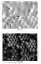 Fig. 03 - Systems and Methods for Targeted and Controlled Delivery of Agents