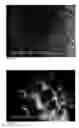 Fig. 06 - Confectionery products and process for obtaining them