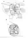 Fig. 01 - Controlled degradation of expandable polymers in gastric volume reduction treatment