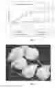 Fig. 07 - NOVEL ANTICANCER AGENT, METHODS FOR OBTAINING THE SAME AND PHARMACEUTICAL COMPOSITIONS THEREOF