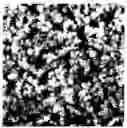 Fig. 01 - Composite materials comprising supported porous gels containing reactive functional groups