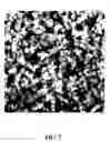 Fig. 06 - Composite materials comprising supported porous gels containing reactive functional groups