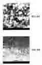 Fig. 07 - Composite materials comprising supported porous gels containing reactive functional groups