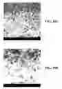 Fig. 09 - Composite materials comprising supported porous gels containing reactive functional groups