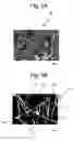 Fig. 06 - PREFORM FOR COMPOSITE MATERIAL AND PROCESS FOR PRODUCING THE SAME