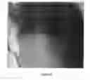 Fig. 08 - Micronized wood preservative formulations
