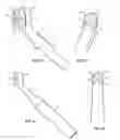 Fig. 02 - Cure through laminate veneer applicator