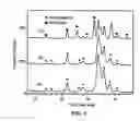 Fig. 04 - Hydroxyapatite coated nanostructured titanium surfaces