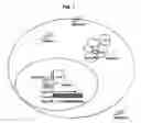 Fig. 02 - Methods and compositions for detecting steroids
