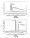 Fig. 02 - ANALYSIS OF POLYPEPTIDE PRODUCTION