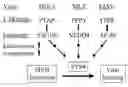 Fig. 01 - TSG101-GAG INTERACTION AND USE THEREOF