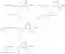 Fig. 71 - Novel Cyclic Aminophenylalkanoic Acid Derivative