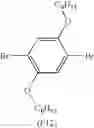Fig. 05 - PROCESS FOR PRODUCING CONJUGATED POLYMER