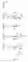 Fig. 03 - Methods and compositions for generating mixtures of nucleic acid molecules