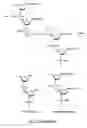 Fig. 06 - Methods and compositions for generating mixtures of nucleic acid molecules