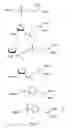 Fig. 08 - Methods and compositions for generating mixtures of nucleic acid molecules